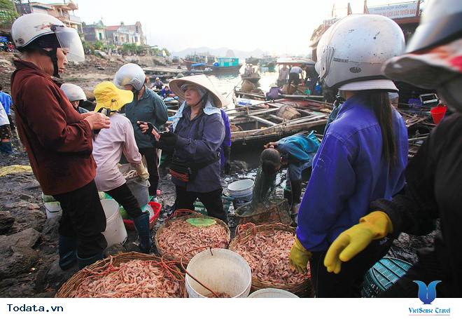 Nhất  Định Phải Ghé Chợ Hải  Sản Khi Đến Cô Tô - Ảnh 4 Nhất  Định Phải Ghé Chợ Hải  Sản Khi Đến Cô Tô - Ảnh 4