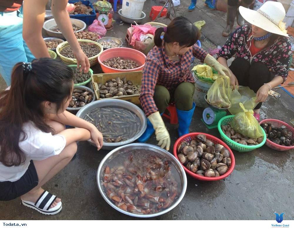 Nhất  Định Phải Ghé Chợ Hải  Sản Khi Đến Cô Tô - Ảnh 5 Nhất  Định Phải Ghé Chợ Hải  Sản Khi Đến Cô Tô - Ảnh 5