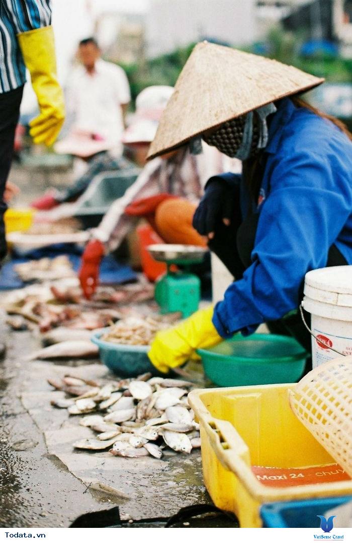 Nhất  Định Phải Ghé Chợ Hải  Sản Khi Đến Cô Tô - Ảnh 8 Nhất  Định Phải Ghé Chợ Hải  Sản Khi Đến Cô Tô - Ảnh 8