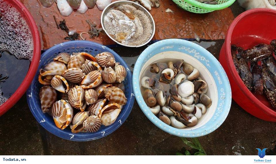 Nhất  Định Phải Ghé Chợ Hải  Sản Khi Đến Cô Tô - Ảnh 7 Nhất  Định Phải Ghé Chợ Hải  Sản Khi Đến Cô Tô - Ảnh 7