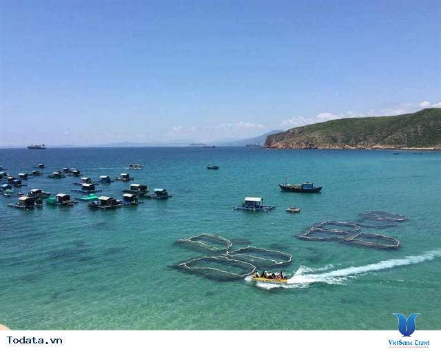 Những bãi biển đẹp nhất ở Quy Nhơn để checkin cháy máy - Ảnh 4