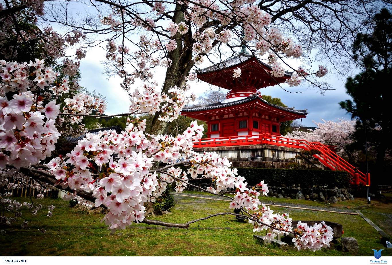 Những địa điểm để thưởng ngoạn hoa anh đào ở Nhật Bản - Ảnh 3 Những địa điểm để thưởng ngoạn hoa anh đào ở Nhật Bản - Ảnh 3