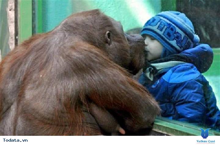 Những địa điểm thu hút khách du lịch nhất của Matxcova, Nga - Ảnh 10