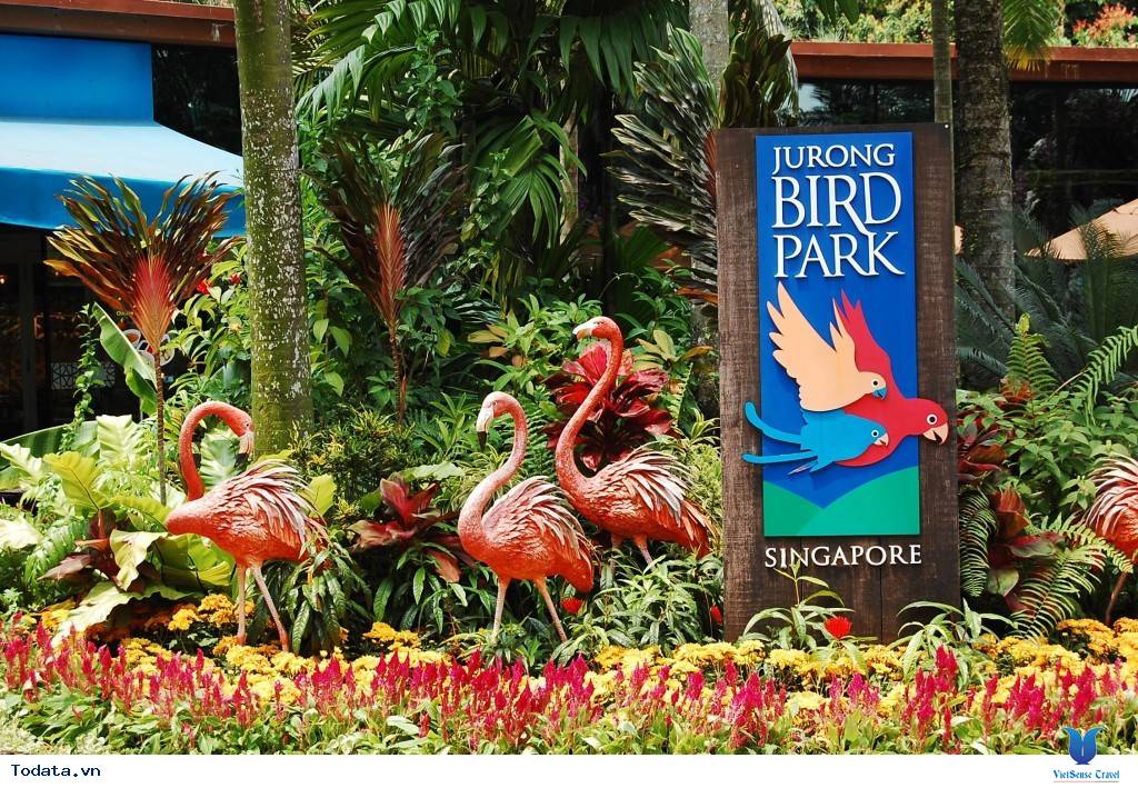 Những Địa Điểm Vừa Học Vừa Chơi Ở Singapore - Ảnh 9