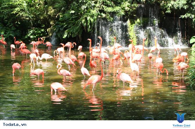 Những Địa Điểm Vừa Học Vừa Chơi Ở Singapore - Ảnh 10