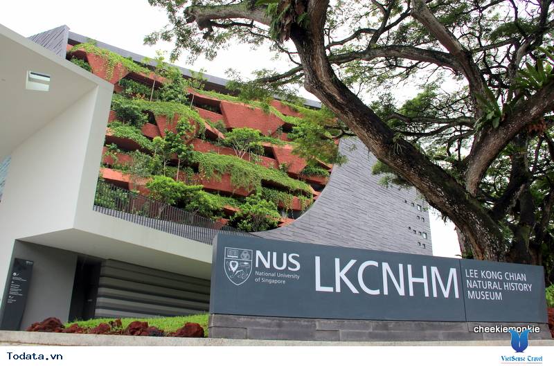 Những Địa Điểm Vừa Học Vừa Chơi Ở Singapore - Ảnh 13