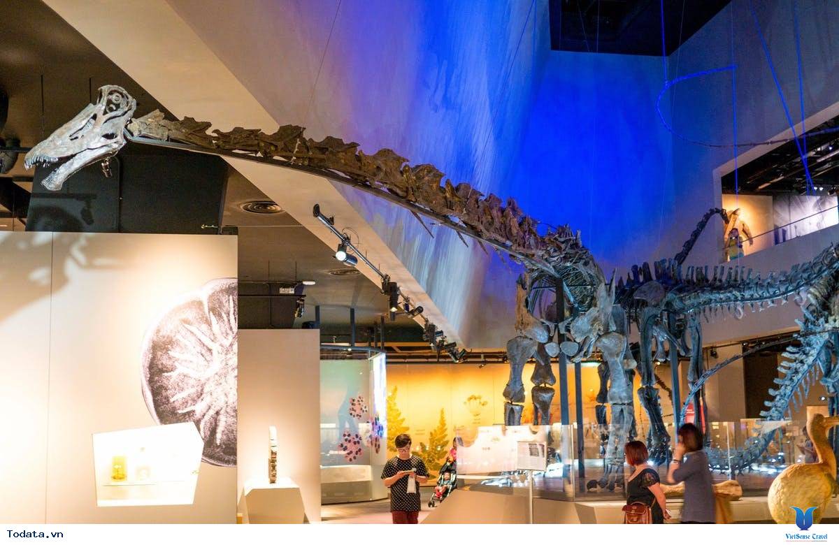 Những Địa Điểm Vừa Học Vừa Chơi Ở Singapore - Ảnh 14