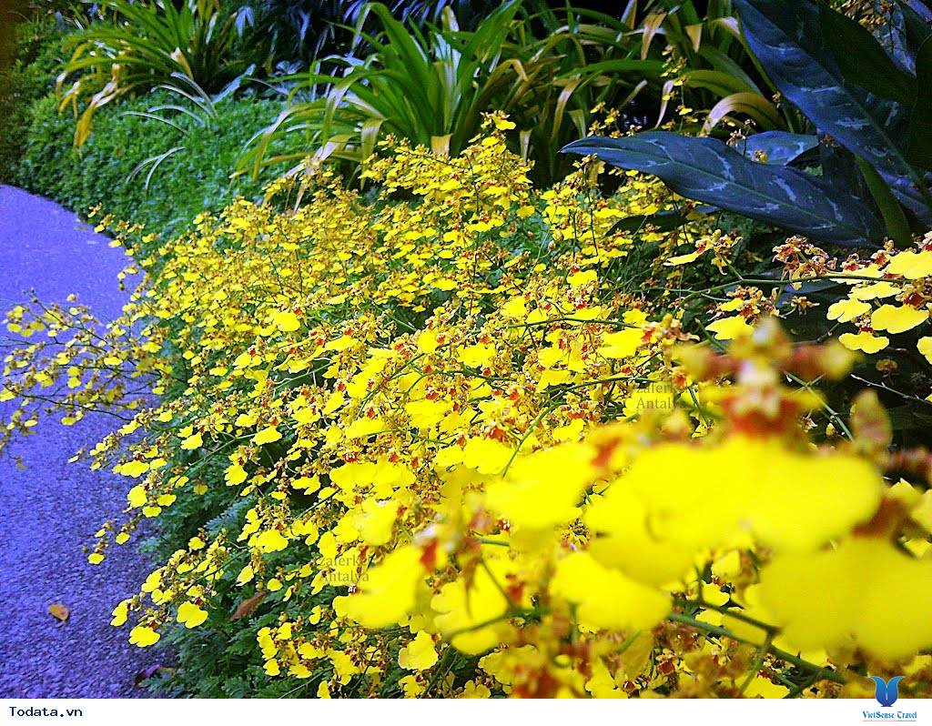 Những Địa Điểm Vừa Học Vừa Chơi Ở Singapore - Ảnh 4