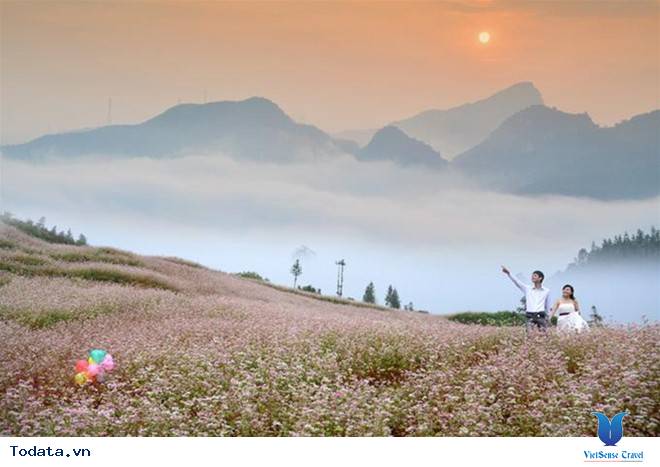 Những Điểm Chụp Ảnh Cưới Cùng Hoa Tam Giác Mạch Ở Hà Giang - Ảnh 3 Những Điểm Chụp Ảnh Cưới Cùng Hoa Tam Giác Mạch Ở Hà Giang - Ảnh 3