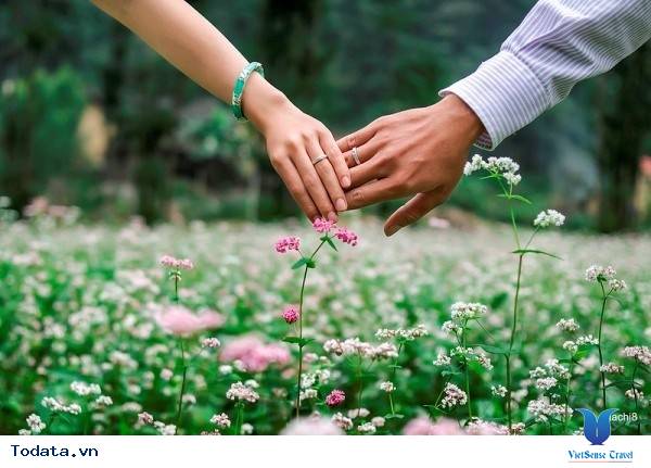 Những Điểm Chụp Ảnh Cưới Cùng Hoa Tam Giác Mạch Ở Hà Giang - Ảnh 5 Những Điểm Chụp Ảnh Cưới Cùng Hoa Tam Giác Mạch Ở Hà Giang - Ảnh 5