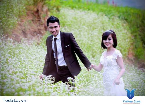 Những Điểm Chụp Ảnh Cưới Cùng Hoa Tam Giác Mạch Ở Hà Giang - Ảnh 4 Những Điểm Chụp Ảnh Cưới Cùng Hoa Tam Giác Mạch Ở Hà Giang - Ảnh 4