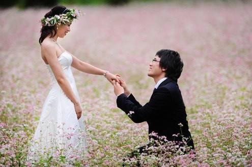 Những Điểm Chụp Ảnh Cưới Cùng Hoa Tam Giác Mạch Ở Hà Giang - Ảnh 1 Những Điểm Chụp Ảnh Cưới Cùng Hoa Tam Giác Mạch Ở Hà Giang - Ảnh 1