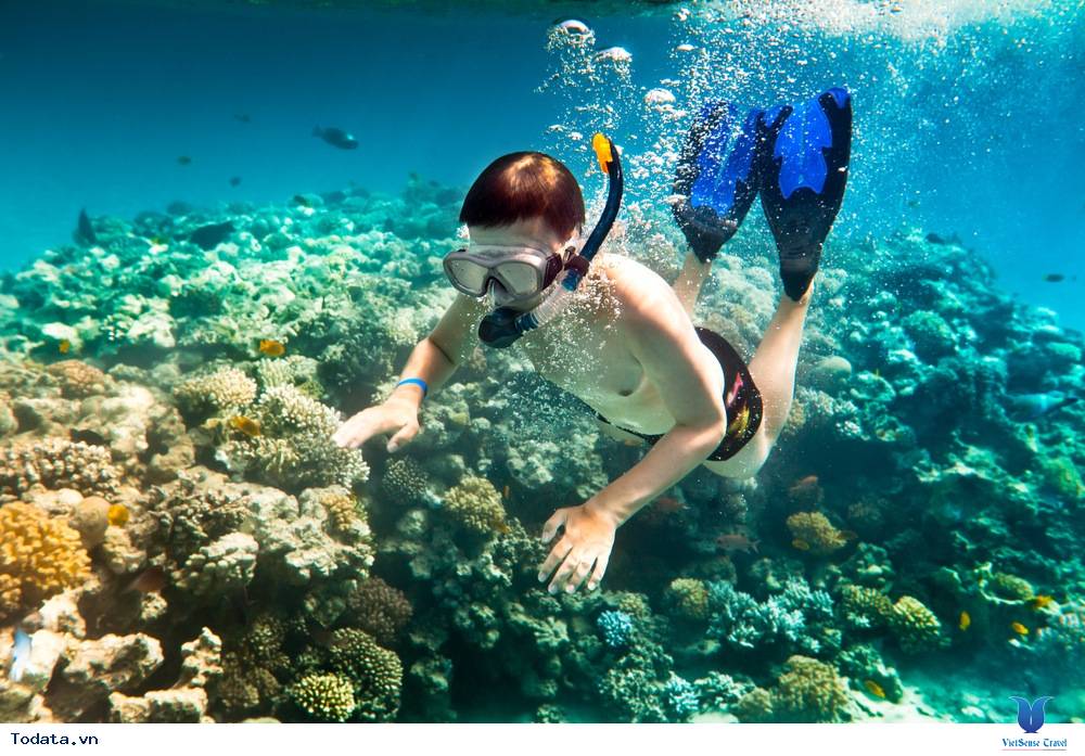 những điều nên biết khi đi du lịch côn đảo - Ảnh 3 những điều nên biết khi đi du lịch côn đảo - Ảnh 3