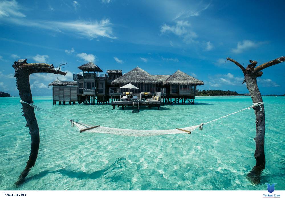 Những lý do bạn không thể bỏ lỡ cơ hội đến Maldives. - Ảnh 6