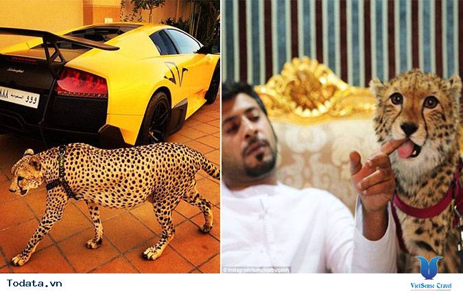 Những Màn Khoe Của Khác Người Của Giới Nhà Giàu Dubai - Ảnh 6