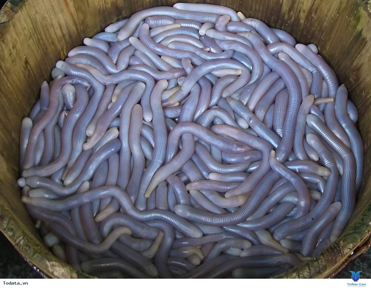 Những món ẩm thực thơm ngon tại côn đảo - Ảnh 3