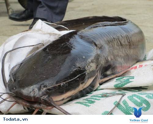 Những Món Ngon Khó Cưỡng Khi Bạn Đến Cao Bằng - Ảnh 6