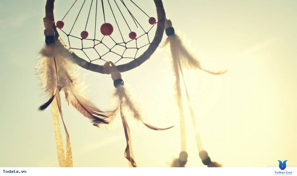 Những món quà nhét túi ở Canada - Ảnh 3