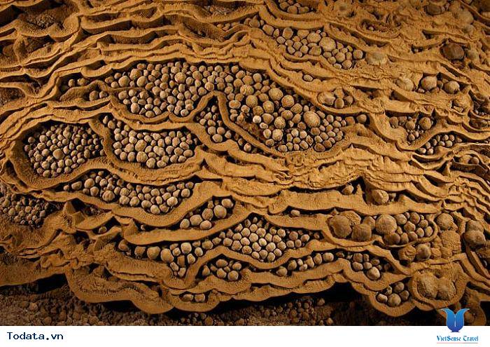 Những Sự Thật Thú Vị Về Hang Sơn Đoòng - Ảnh 9