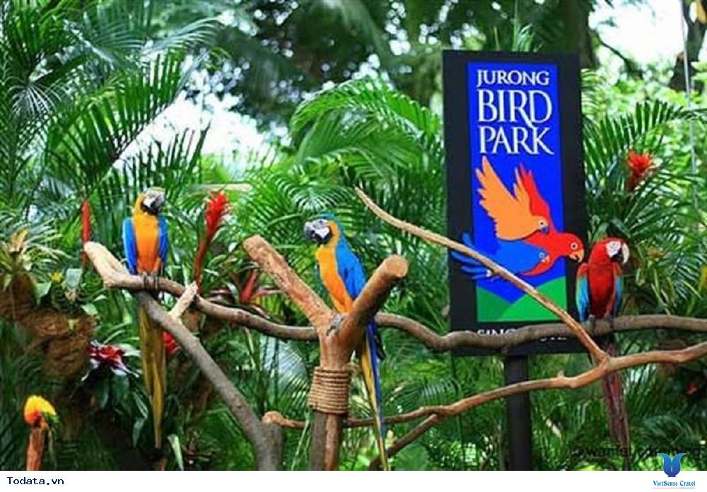 Những trải nghiệm thật đã ở Singapore (Phần 1) - Ảnh 1