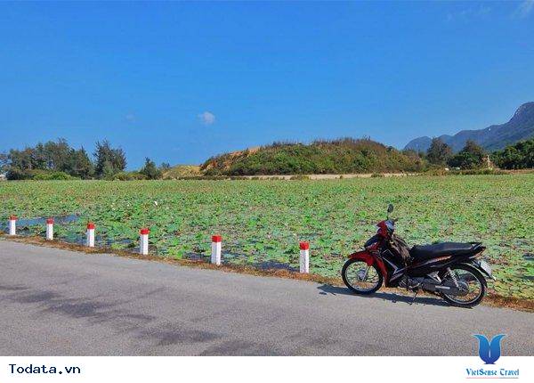 Những trải nghiệm thú vị khi bạn đi du lịch Côn Đảo - Ảnh 4