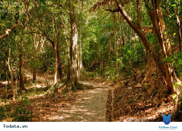 Những trải nghiệm thú vị khi bạn đi du lịch Côn Đảo - Ảnh 18