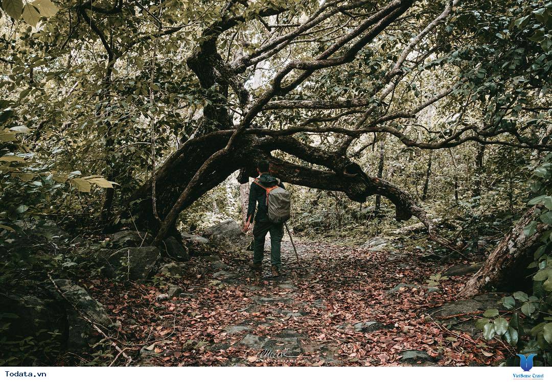 Những trải nghiệm thú vị khi bạn đi du lịch Côn Đảo - Ảnh 17