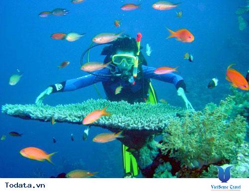 Những trải nghiệm thú vị khi bạn đi du lịch Côn Đảo - Ảnh 2