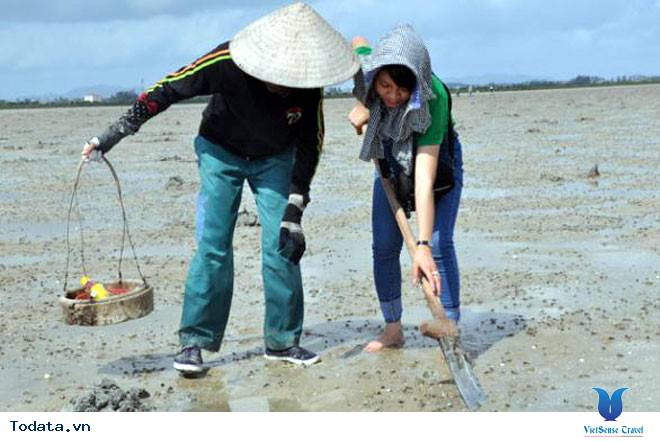 Những Trải Nghiệm Thú Vị Khi Đi Du Lịch Quan Lạn - Ảnh 4 Những Trải Nghiệm Thú Vị Khi Đi Du Lịch Quan Lạn - Ảnh 4