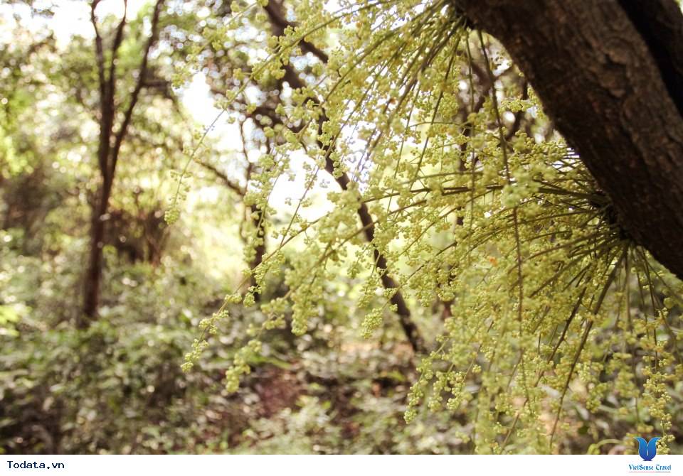 Những Trải Nghiệm Tuyệt Vời Khi Bạn Đến Cô Tô - Ảnh 8