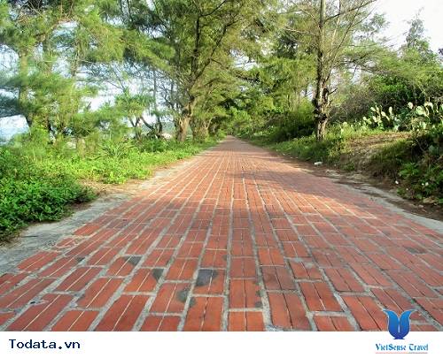 Những Trải Nghiệm Tuyệt Vời Khi Bạn Đến Cô Tô - Ảnh 3