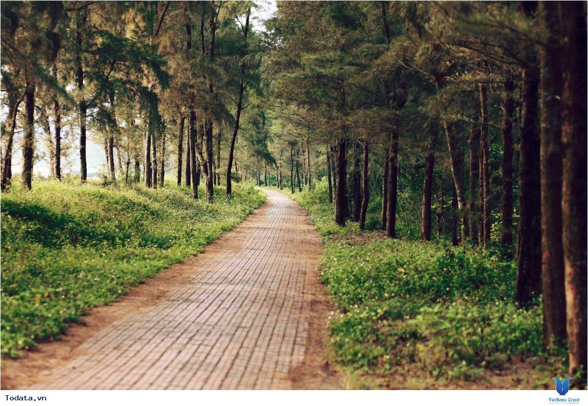 Những Trải Nghiệm Tuyệt Vời Khi Bạn Đến Cô Tô - Ảnh 1