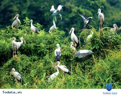 Ninh Bình: Thung Nham - Nơi hạc trắng bay về - Ảnh 2
