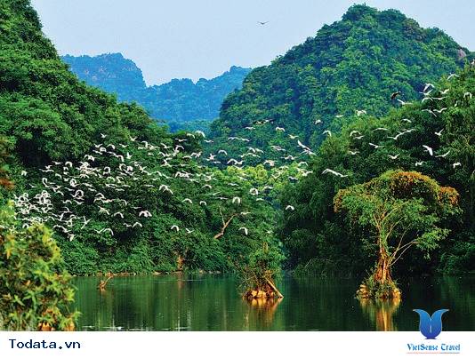 Ninh Bình: Thung Nham - Nơi hạc trắng bay về - Ảnh 3
