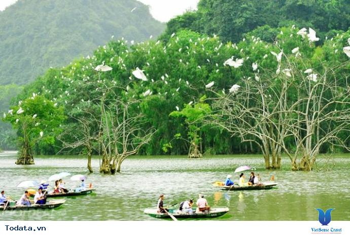 Ninh Bình: Thung Nham - Nơi hạc trắng bay về - Ảnh 1