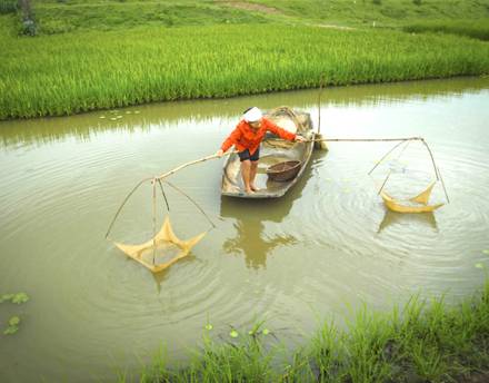 Ninh Bình: Vó tép trên sông quê - Ảnh 1