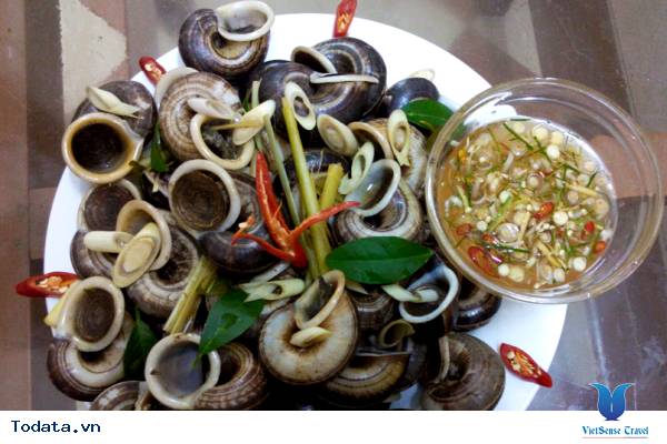 Ốc Đá Suối Bàng Mộc Châu - Ảnh 1