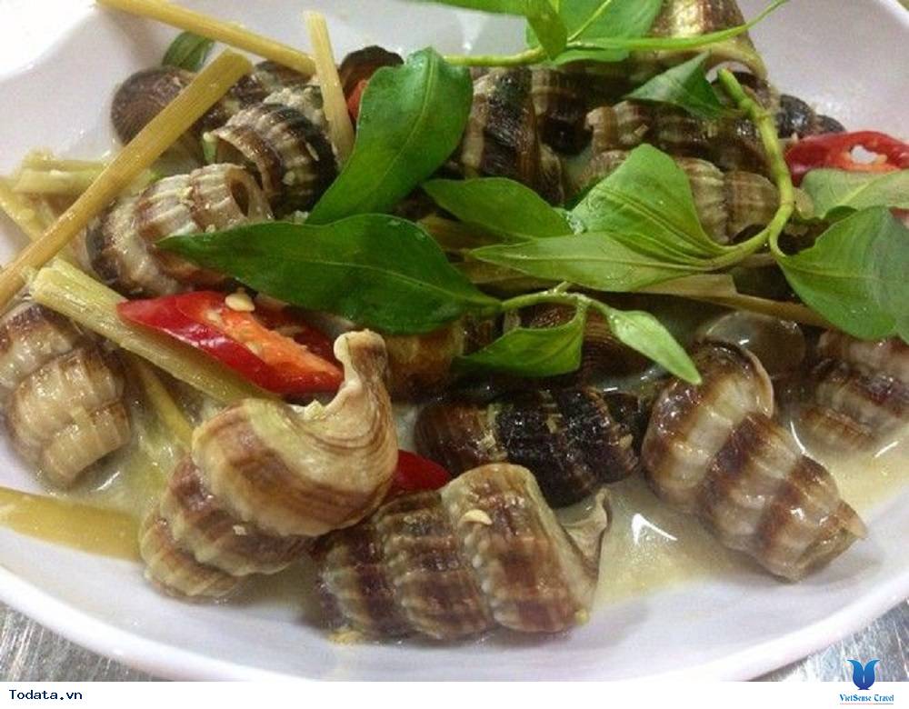 Ốc Thúy Kiều nổi tiếng ở Quy Nhơn - Ảnh 2 Ốc Thúy Kiều nổi tiếng ở Quy Nhơn - Ảnh 2