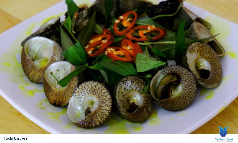 Ốc Vú Nàng ở Côn Đảo