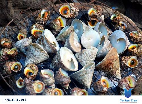 Ốc Vú Nàng ở Côn Đảo