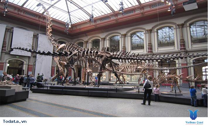 Oslo, thủ đô xinh đẹp của Na Uy - Ảnh 2