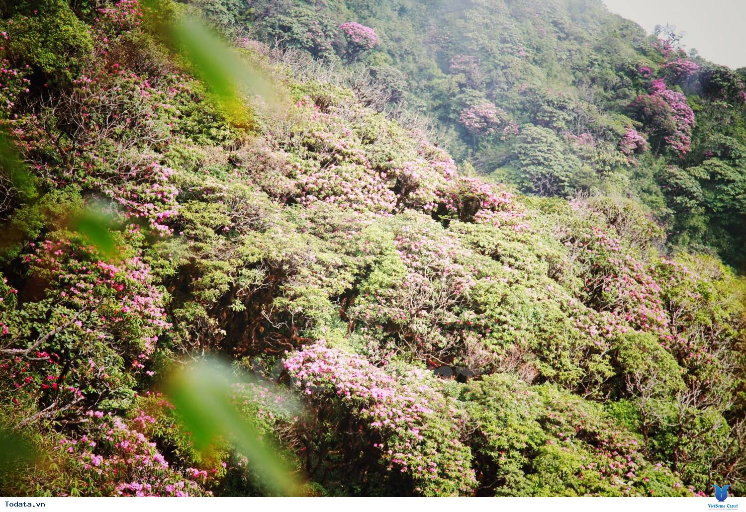 Quần Thể Tâm Linh Trên Đỉnh Fansipan - Điểm Đến lễ Phật Cầu An Hút Khách Du Lịch - Ảnh 3 Quần Thể Tâm Linh Trên Đỉnh Fansipan - Điểm Đến lễ Phật Cầu An Hút Khách Du Lịch - Ảnh 3