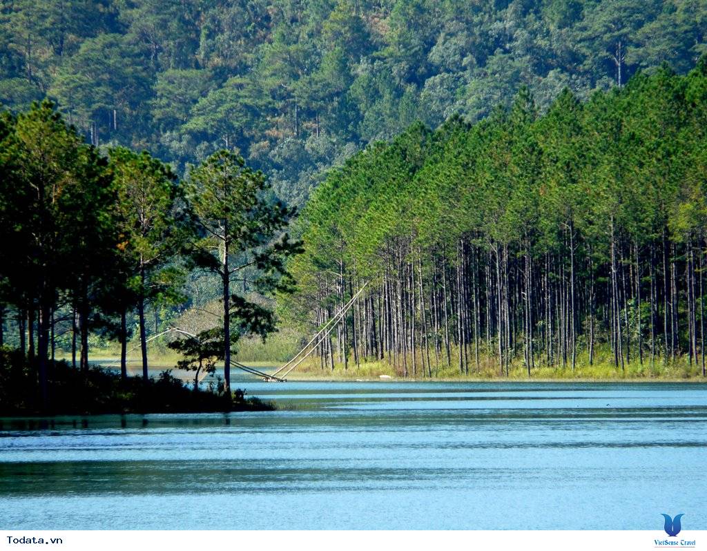 Quyến rũ vẻ đẹp hồ Tuyền Lâm - Ảnh 3