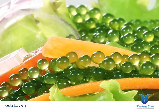 Rong Nho Biển - Đặc Sản Từ Biển Ban Tặng Nha Trang - Ảnh 4