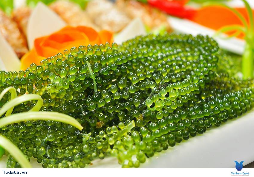 Rong Nho Biển - Đặc Sản Từ Biển Ban Tặng Nha Trang - Ảnh 2