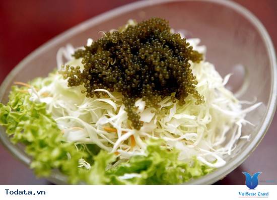 Rong Nho Biển - Đặc Sản Từ Biển Ban Tặng Nha Trang - Ảnh 5