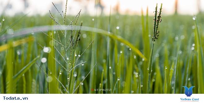 Rức Sắc Màu Hoa Trên Những Nẻo Đường Phượt Mùa Thu - Ảnh 18