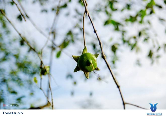 Rức Sắc Màu Hoa Trên Những Nẻo Đường Phượt Mùa Thu - Ảnh 15