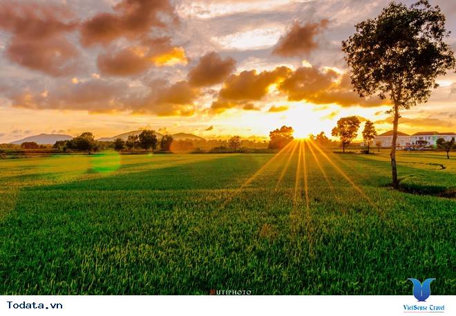 Rức Sắc Màu Hoa Trên Những Nẻo Đường Phượt Mùa Thu - Ảnh 11