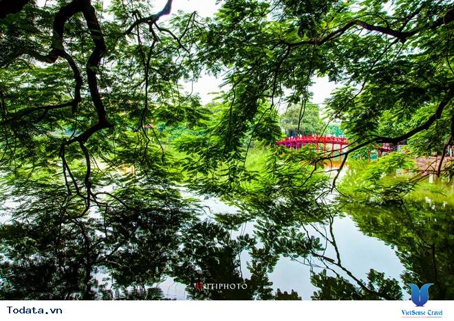 Rức Sắc Màu Hoa Trên Những Nẻo Đường Phượt Mùa Thu - Ảnh 6